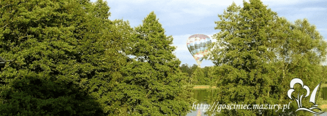 MAZURY STARY GIELĄD — zdjęcie 5